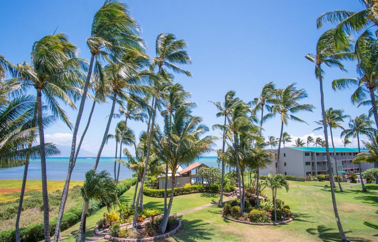 Molokai Island Retreat With Beautiful Ocean Views And Pool - Newly Remodeled! Apartment Ualapue ภายนอก รูปภาพ